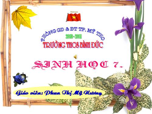 Bài 33. Cấu tạo trong của cá chép