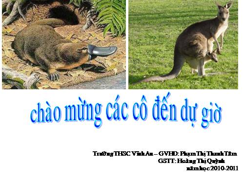 Bài 48. Đa dạng của lớp Thú: Bộ Thú huyệt, bộ Thú túi