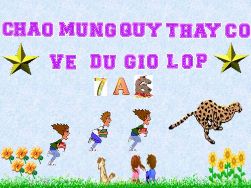 Bài 49. Đa dạng của lớp Thú: Bộ Dơi và bộ Cá voi
