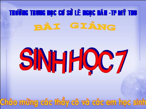 Bài 17. Một số giun đốt khác và đặc điểm chung của ngành Giun đốt