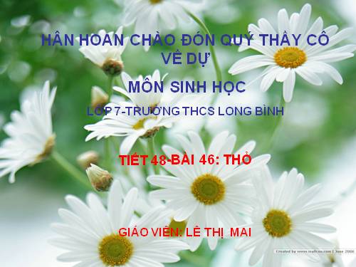 Bài 46. Thỏ