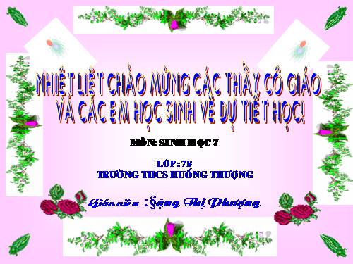 Bài 50. Đa dạng của lớp Thú: Bộ Ăn sâu bọ, bộ Gặm nhấm, bộ Ăn thịt
