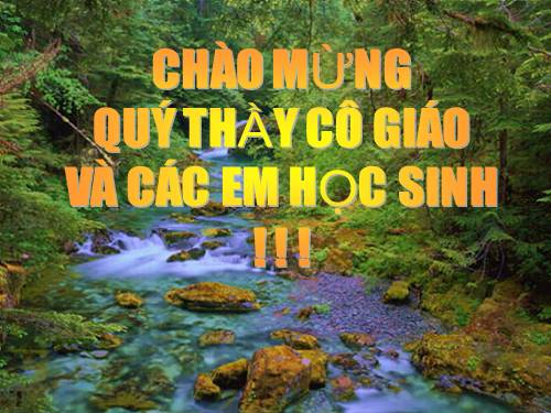 Bài 51. Đa dạng của lớp Thú: Các bộ Móng guốc và bộ Linh trưởng