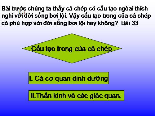 Bài 33. Cấu tạo trong của cá chép