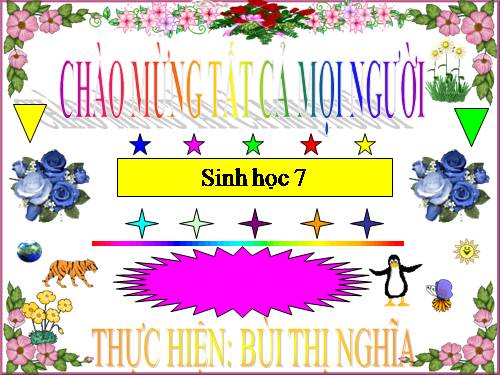 Bài 50. Đa dạng của lớp Thú: Bộ Ăn sâu bọ, bộ Gặm nhấm, bộ Ăn thịt