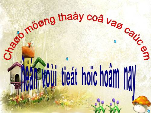 Bài 47. Cấu tạo trong của thỏ