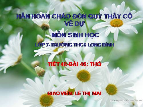 Bài 46. Thỏ