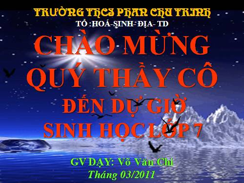 Bài 51. Đa dạng của lớp Thú: Các bộ Móng guốc và bộ Linh trưởng