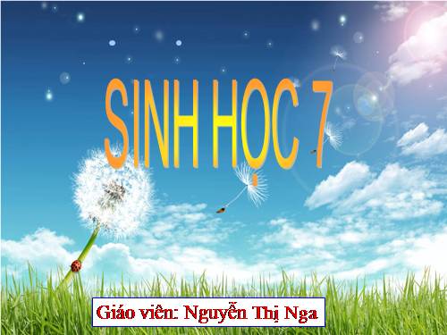 Bài 47. Cấu tạo trong của thỏ
