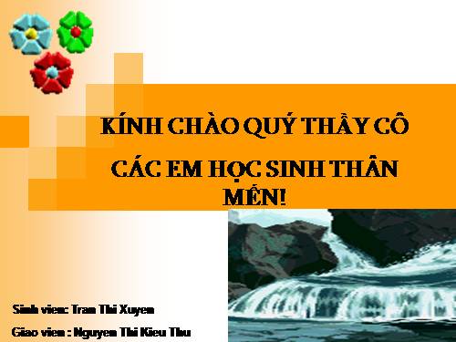 Bài 48. Đa dạng của lớp Thú: Bộ Thú huyệt, bộ Thú túi