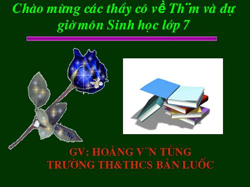 Bài 25. Nhện và sự đa dạng của lớp Hình nhện