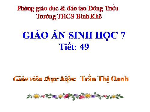 Bài 49. Đa dạng của lớp Thú: Bộ Dơi và bộ Cá voi