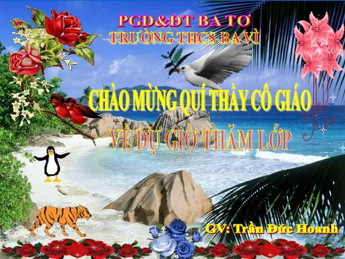 Bài 26. Châu chấu