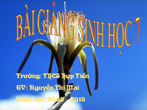 Bài 46. Thỏ