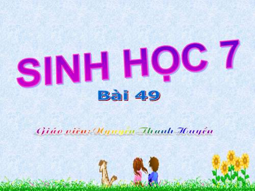 Bài 49. Đa dạng của lớp Thú: Bộ Dơi và bộ Cá voi
