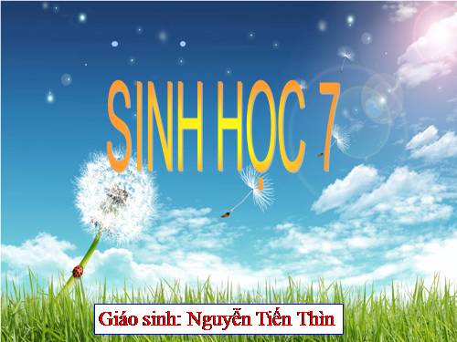 Bài 47. Cấu tạo trong của thỏ