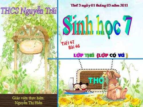 Bài 46. Thỏ