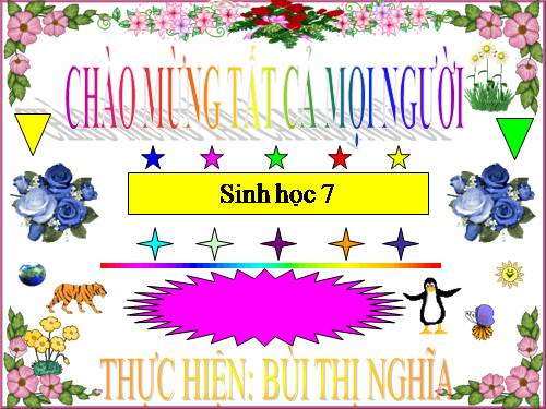 Bài 50. Đa dạng của lớp Thú: Bộ Ăn sâu bọ, bộ Gặm nhấm, bộ Ăn thịt