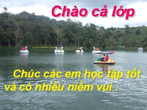 Bài 46. Thỏ