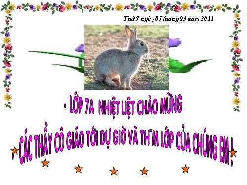 Bài 47. Cấu tạo trong của thỏ