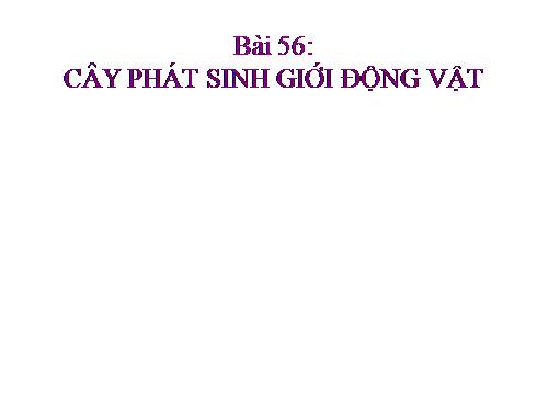 Bài 56. Cây phát sinh giới Động vật