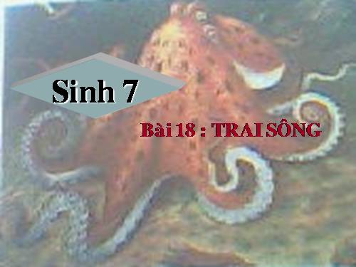 Bài 18. Trai sông