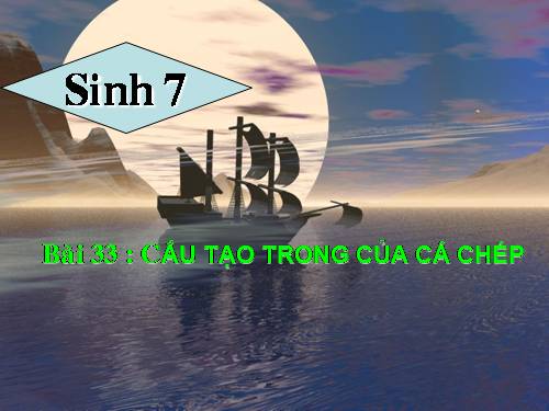 Bài 33. Cấu tạo trong của cá chép