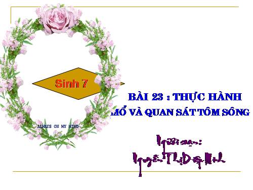 Bài 23. Thực hành: Mổ và quan sát tôm sông