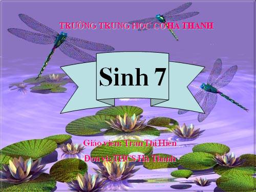 Bài 42. Thực hành: Quan sát bộ xương, mẫu mổ chim bồ câu