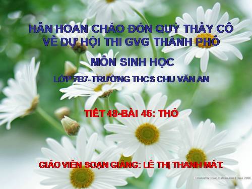 Bài 46. Thỏ