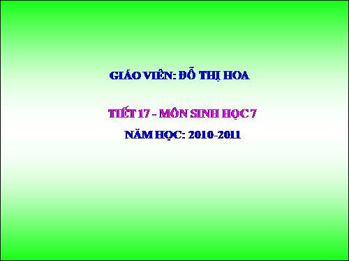 Bài 17. Một số giun đốt khác và đặc điểm chung của ngành Giun đốt