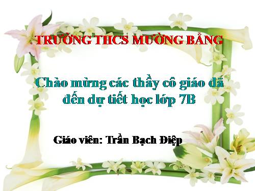 Bài 41. Chim bồ câu