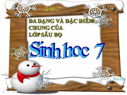 Bài 27. Đa dạng và đặc điểm chung của lớp Sâu bọ