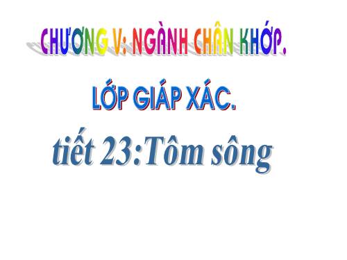 Bài 22. Tôm sông