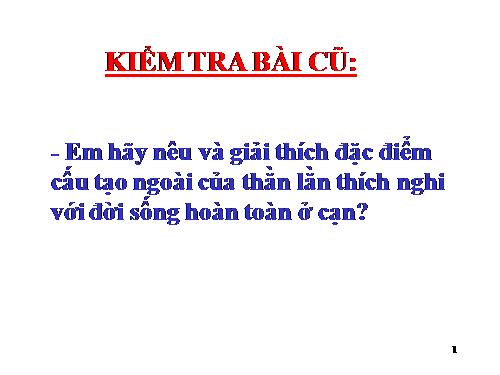 Bài 39. Cấu tạo trong của thằn lằn
