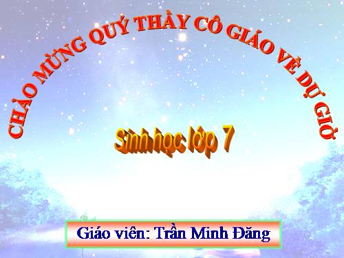 Bài 21. Đặc điểm chung và vai trò của ngành Thân mềm