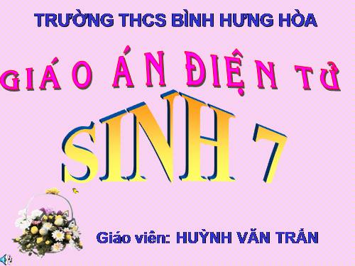 Bài 19. Một số thân mềm khác