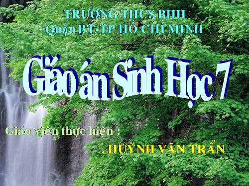 Bài 28. Thực hành: Xem băng hình về tập tính của sâu bọ