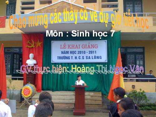 Bài 41. Chim bồ câu