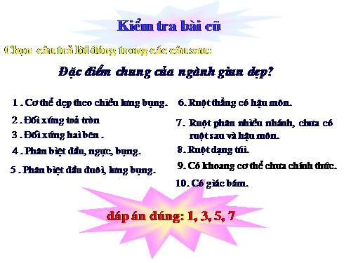 Bài 13. Giun đũa