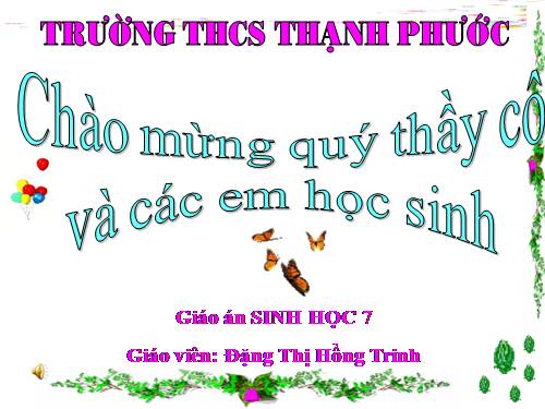 Bài 29. Đặc điểm chung và vai trò của ngành Chân khớp