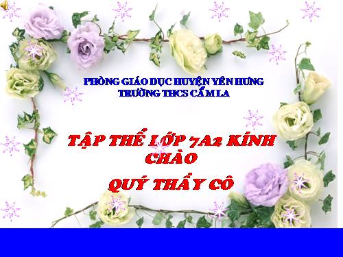 Bài 40. Đa dạng và đặc điểm chung của lớp Bò sát