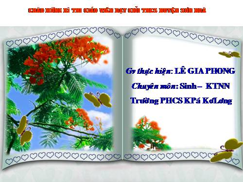 Bài 37. Đa dạng và đặc điểm chung của lớp Lưỡng cư
