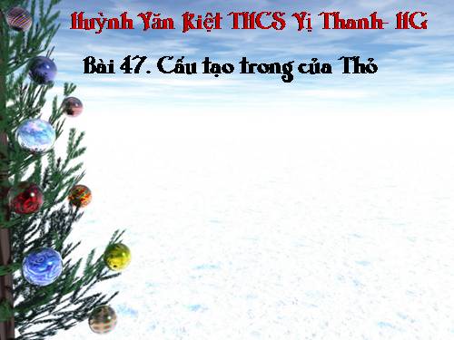 Bài 47. Cấu tạo trong của thỏ