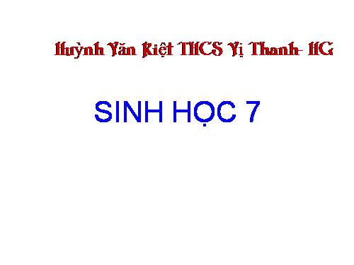 Bài 48. Đa dạng của lớp Thú: Bộ Thú huyệt, bộ Thú túi