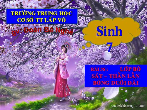 Bài 38. Thằn lằn bóng đuôi dài