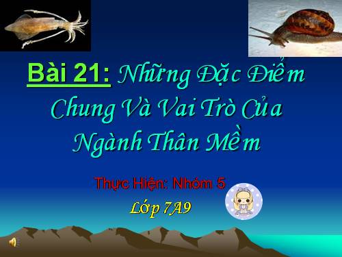 Bài 21. Đặc điểm chung và vai trò của ngành Thân mềm