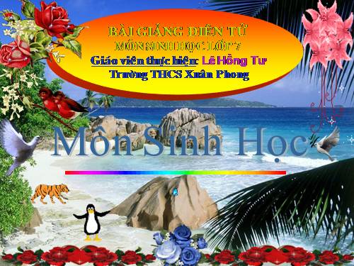 Bài 39. Cấu tạo trong của thằn lằn