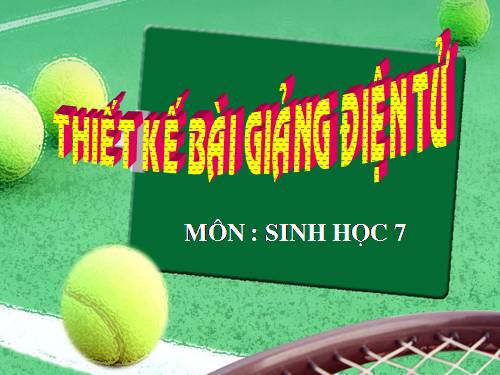 Bài 37. Đa dạng và đặc điểm chung của lớp Lưỡng cư