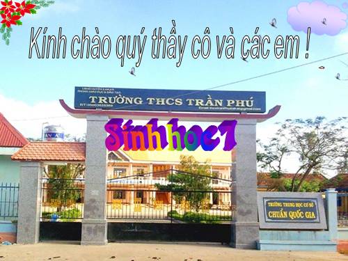 Bài 41. Chim bồ câu